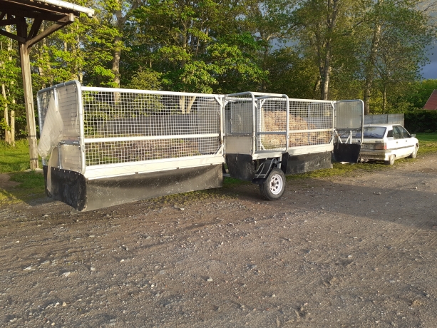 Training-6-chevaux-0