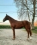 JALOUSE-FORLIFE-0