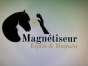 Magnetiseur-equin-0