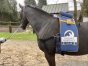 Ceinture-de-massage-Equissage-Pulse-Seule-1