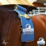 Ceinture-de-massage-Equissage-Pulse-et-deux-unites-manuelles-Pack-PRO+-1