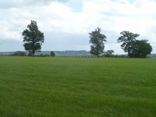 STRUCTURE-D---ELEVAGE---148-HA---NORMANDIE---ORNE(61)---TRIANGLE-D---OR-0