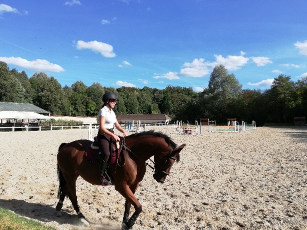 cheval-selle-francais-a-donner-0
