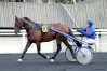 A-VENDRE-PART-DE-PRODIGIOUS-0