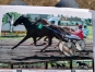 Feria-d---albret-0