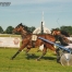 Recherche-chevaux-pour-reconversion-0