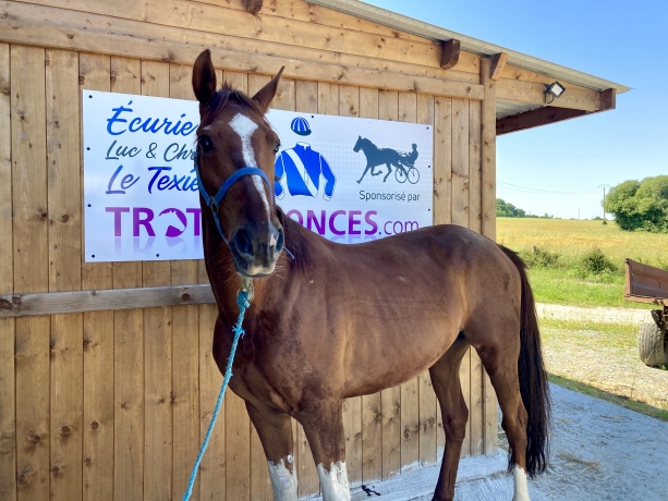 ecurie-L-Le-Texier