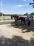 Recherche-cheval-amateur-0