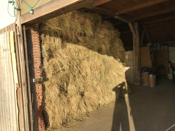 Vend-foin-de-prairie-2021-petit-ballots