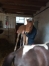 Urgent-Recherche-exploitation-equestre-herbagere-1