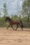 Debourrage-1
