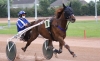 ecurie-L-Le-Texier-0