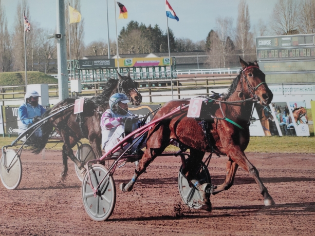 Vend-Galway-danica----21-800-gains-pour-app-lad-jockey-0
