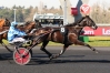 Part-de-GOSPEL-PAT(167-cm)-par-URIEL-SPEED-(sans-TVA)-avec-2-saillies-2022-0