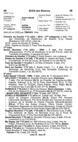 Chimere-du-Goutier-par-Kaisy-Dream-souche-Vivante-pleine-de-Gotland-0