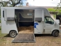 Renault-Master-Theault-Morpheo-1
