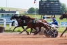 ecurie-L-Le-Texier-0
