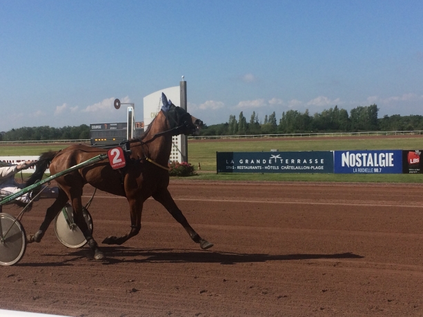 cheval-a-reessayer-HATZO-DEBESSE-1ere-qualif-1---17------7-0
