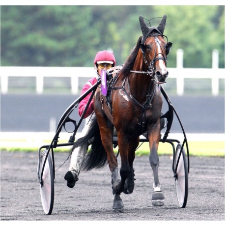 Part-LOOK-DE-STAR-avec-saillie-2022-0