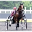 Part-LOOK-DE-STAR-avec-saillie-2022-0