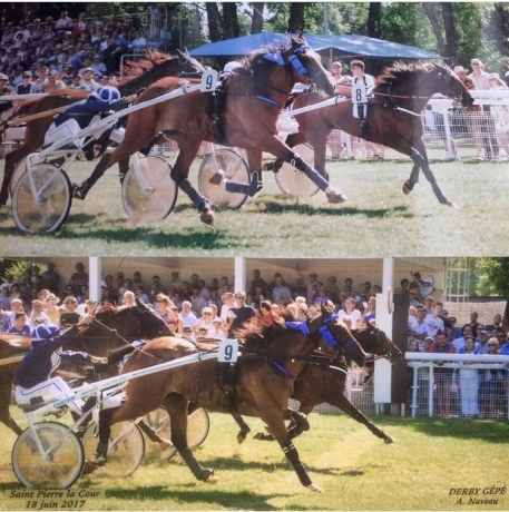 Loue-chevaux-a-courir-1