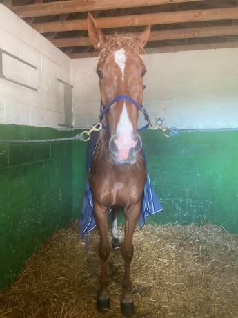 Cede-Trotteuse-de-3ans