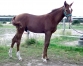 Male-L-par-VILLAGE-MYSTIC-1