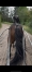 Ressaie-chevaux-0