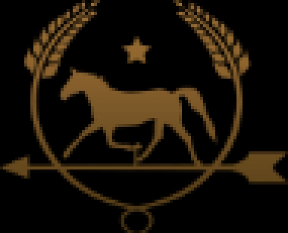 Achat-de-chevaux-sortant-de-l---entrainement-pour-reconversion-0