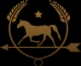 Achat-de-chevaux-sortant-de-l---entrainement-pour-reconversion-0