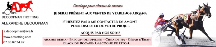 Courtier-present-a-la-vente-de-yearlings-Arqana-(1er--2-et-3-septembre)