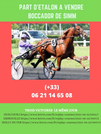 part-d---etalon-a-vendre-0