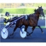 Part-BRIAC-DARK-avec-saillie-2022-0