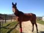 Fanny-maza-5000-euro;-0