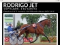 a-Vendre-part-de-Rodrigo-jet-ou-echange-saillie-2022-0