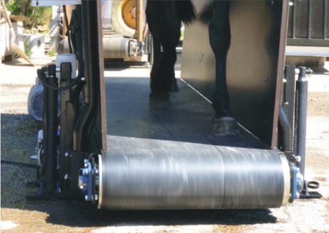 Tapis-roulant-pour-chevaux-d---occasion-Hippotrainer-2