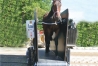 Tapis-roulant-pour-chevaux-d---occasion-Hippotrainer-1