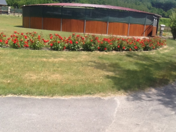 PRENDS-CHEVAUX-REPOS-PRe-ENTRAINEMENT