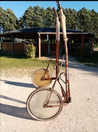 Multiflex-Custom-2