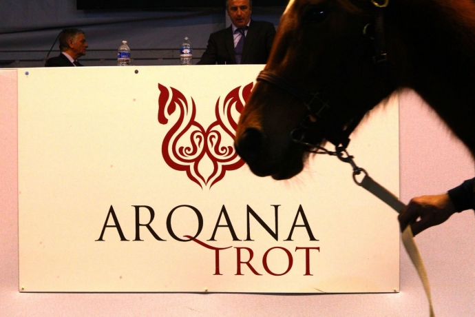 Courtier-present-a-la-vente-Arqana-achat-en-piste-ce-mardi-a-Vincennes
