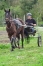 Debourrage-de-vos-poulains-dans-le-calme-2