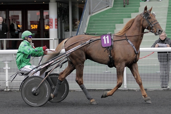 Propose-saillie-pour-option-0