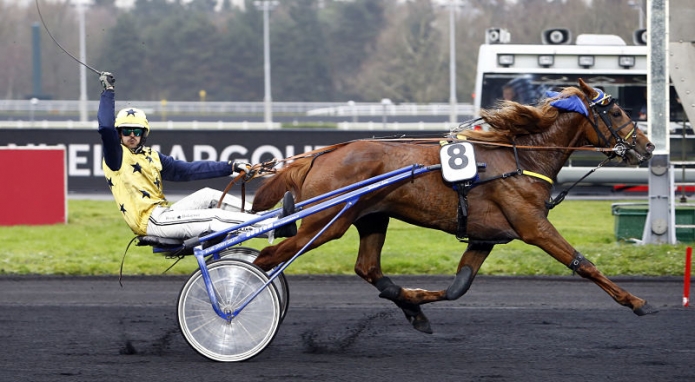 Vend-plusieurs-saillies-0