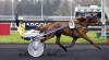 Vend-plusieurs-saillies-0