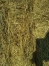fourrage-toutes-especes-2