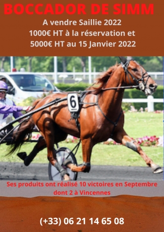 SAILLIE-A-VENDRE-0