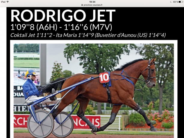 a-vendre-part-de-Rodrigo-jet-ou-echange-saillie-2022-0