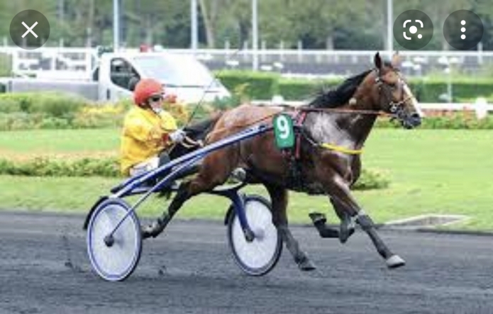 Saillies-(2)-Alto-de-Viette-0