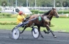 Saillies-(2)-Alto-de-Viette-0
