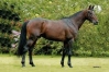 Saillie-de-LILIUM-MADRIK-a-vendre-0